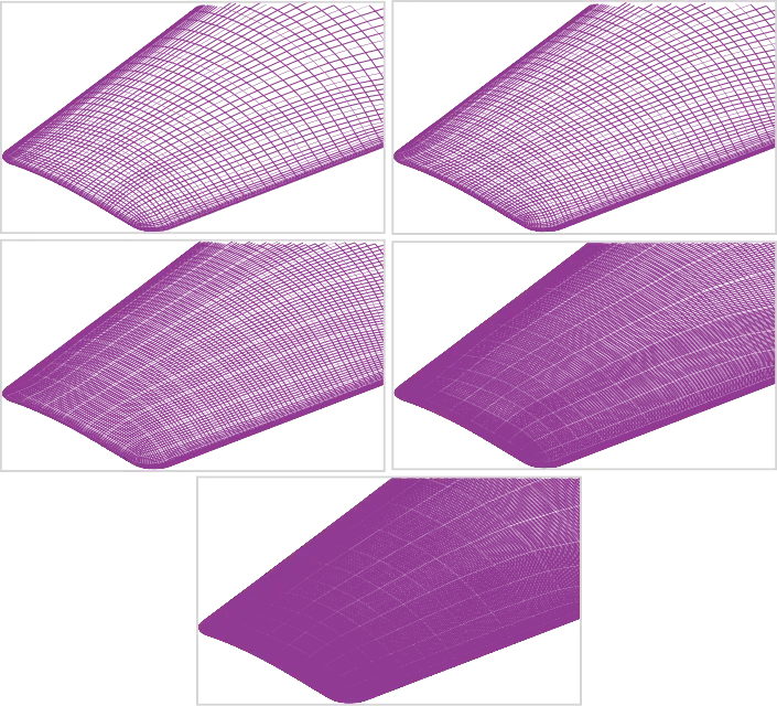 Grid convergence study: Mesh at the wing tip region