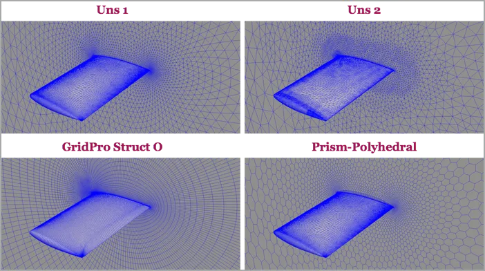 CFD mesh around the Onera M6 wing