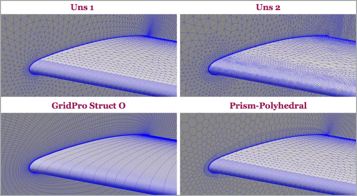 CFD mesh near the wing-symmetry junction region