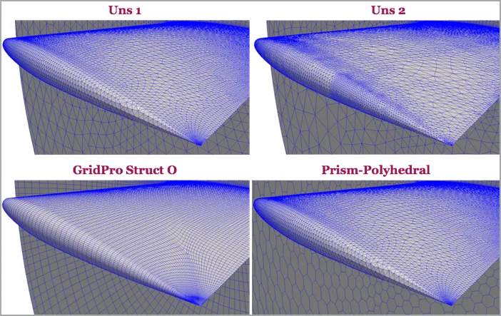 CFD mesh near the wing tip region