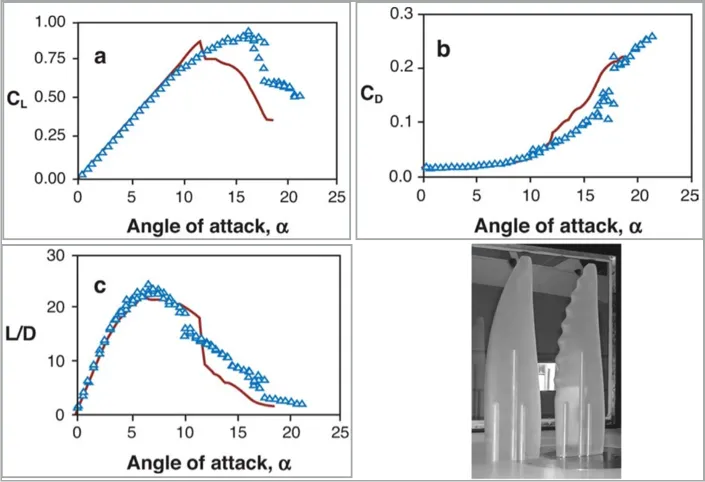Comparision of aerodynamic forces between a conventional wing and a tubercular wing design