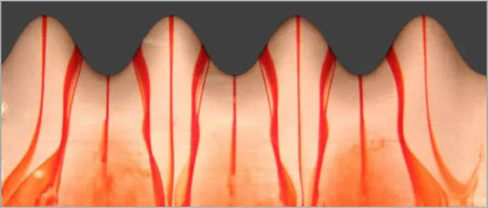 Shows the dye enriched flow pattern developed by the leading edge hump for a hydrofoil