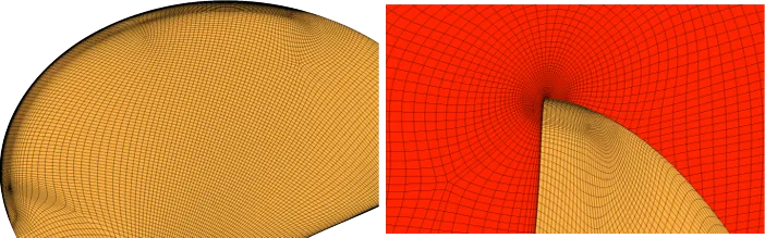 Enrichment to increase local grid resolution for a ship propeller blade