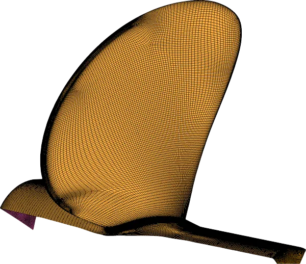 Surface mesh for a ship propeller blade