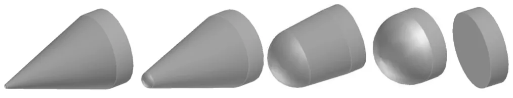 Possible geometric variants for forebody.