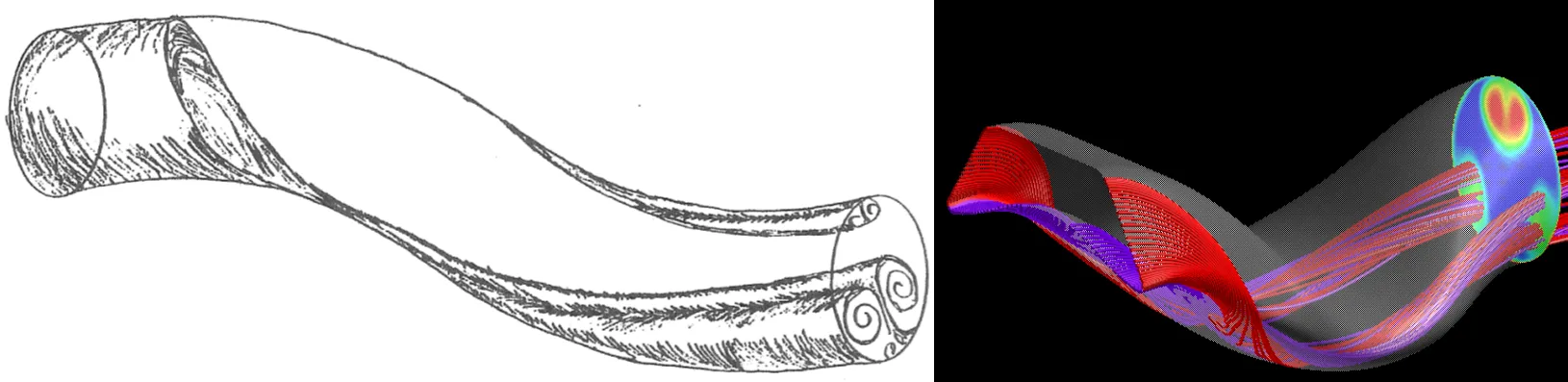 Natural vortices in serpentine ducts. b. Vortices in a highly-bend modern-day S-duct.