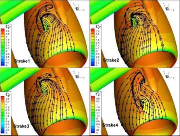vortex generators: Surface streamlines around different strake variants