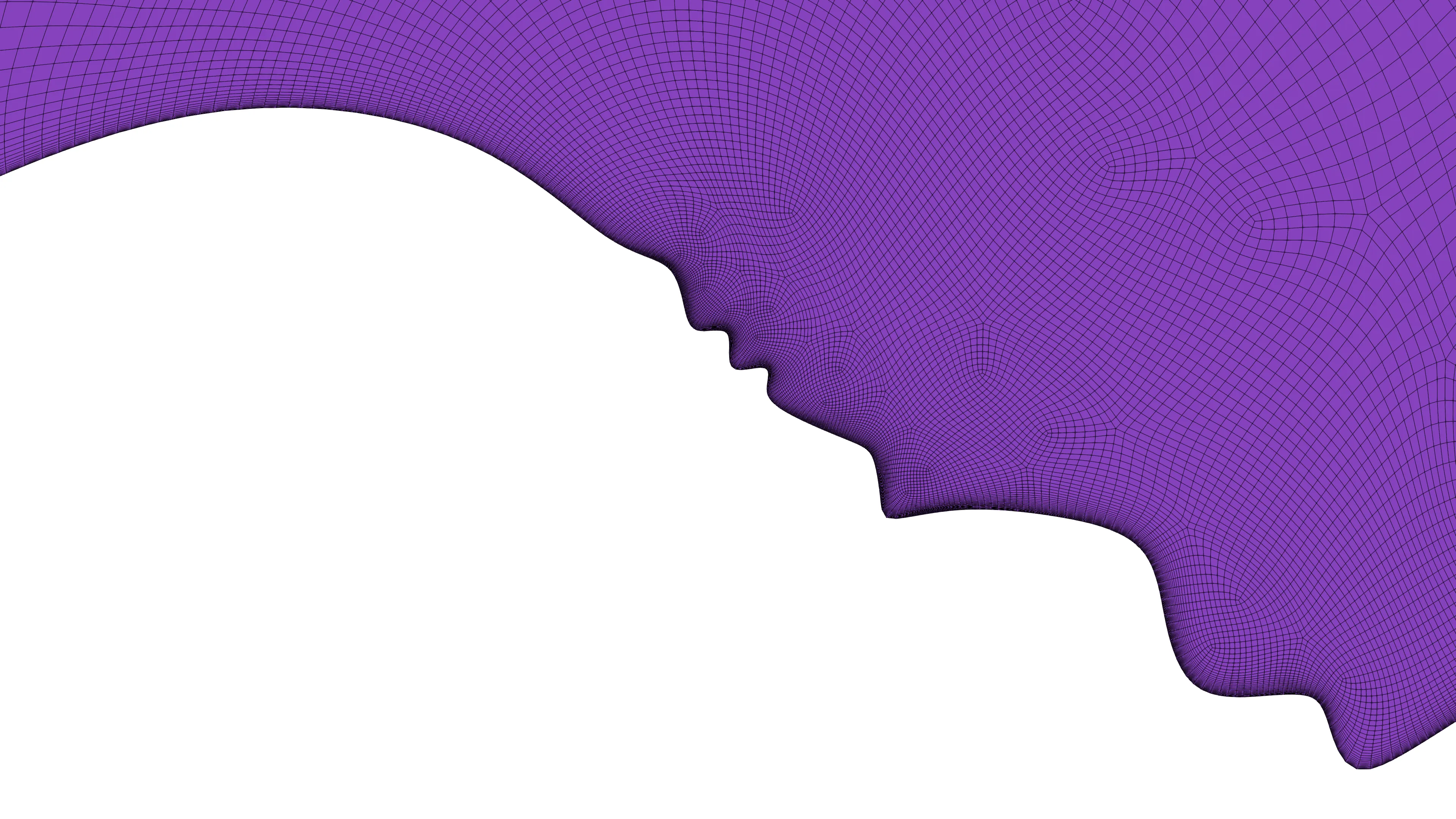 Orthogonal boundary layer padding to capture the viscous activities near the wall.