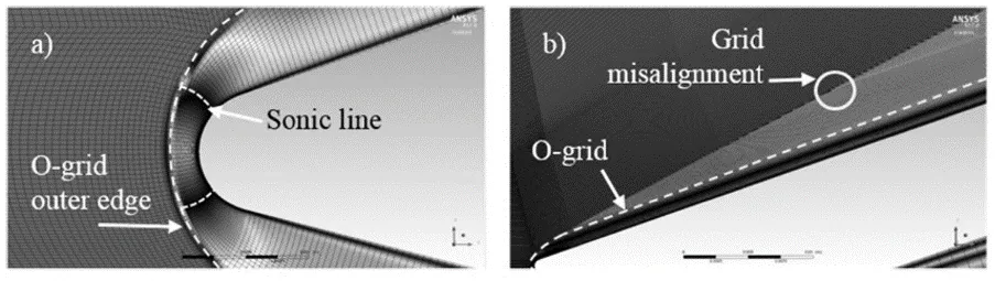 Figure showing flow aligned mesh to curved shock and grid misalignment leading to non-physical waves.