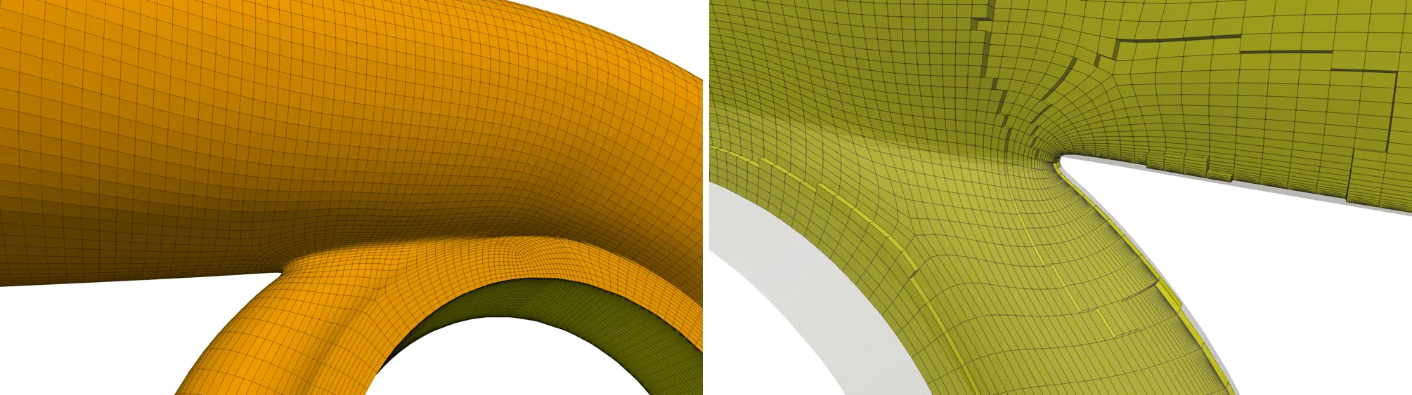 Close-up view of the tongue region. The image shows a surface grid (a) and a sectional slice of 3D cells (b), demonstrating consistent grid quality across critical regions and geometric variants.