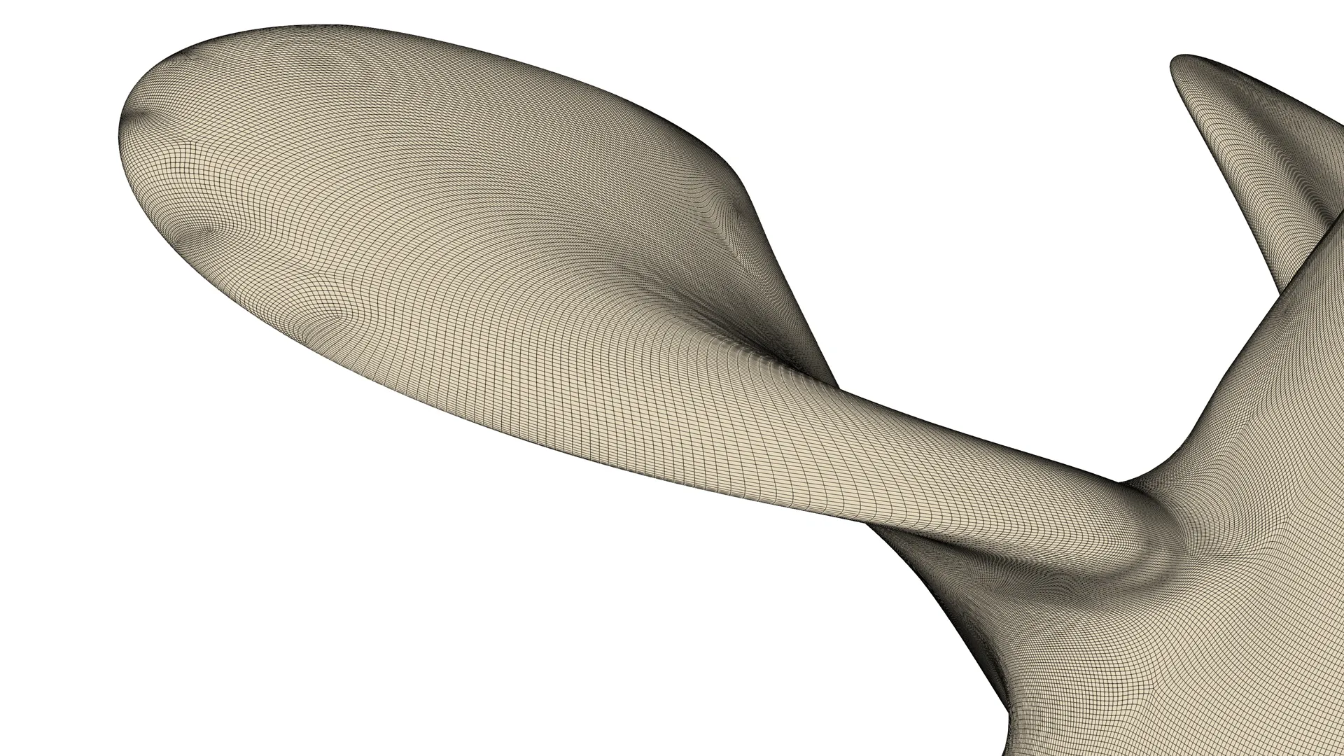 Close-up of structured CFD surface mesh on the leading edge of a propeller blade.